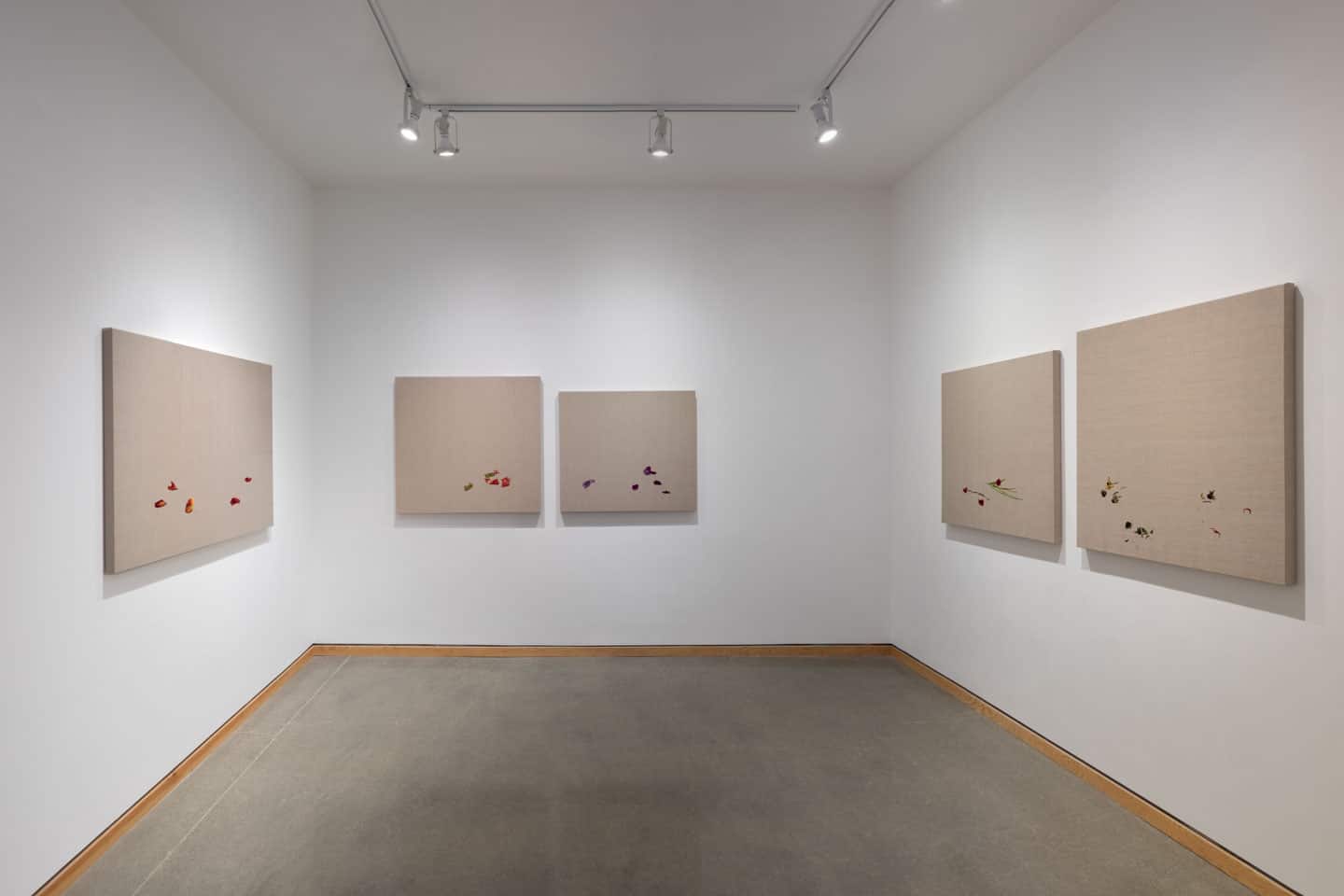 Almost, All At Once at Angell Gallery